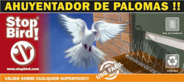 pinchos antipalomas en Madrid stopbird
